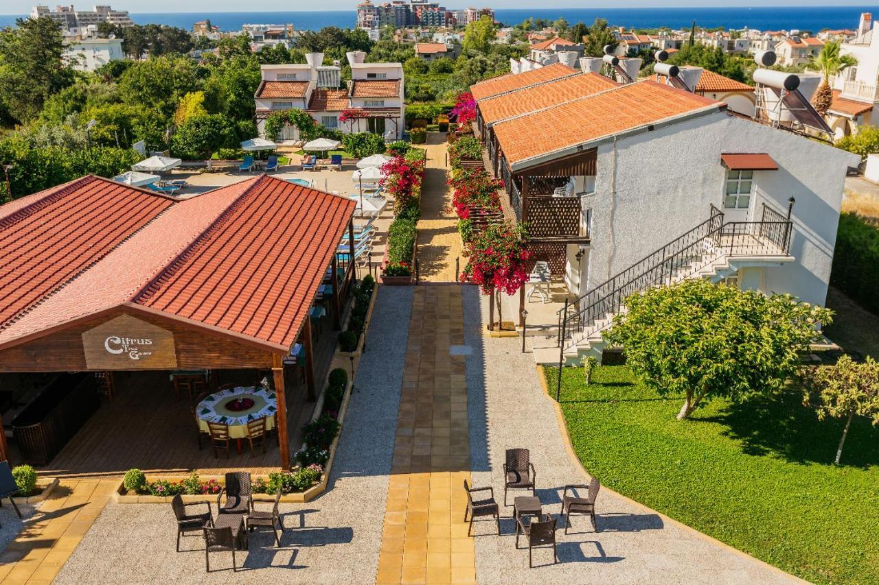 Citrus Tree Gardens Hotel Karavas  Buitenkant foto